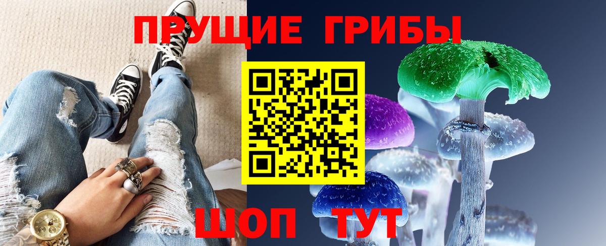 Галлюциногенные грибы GOLDEN TEACHER Буйнакск