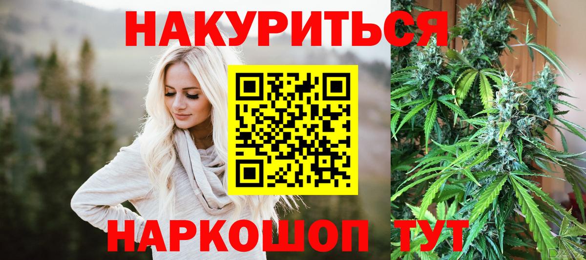 Каннабис планчик  Вход с VPN  Буйнакск  Марихуана VHQ  Каннабис Ganja 